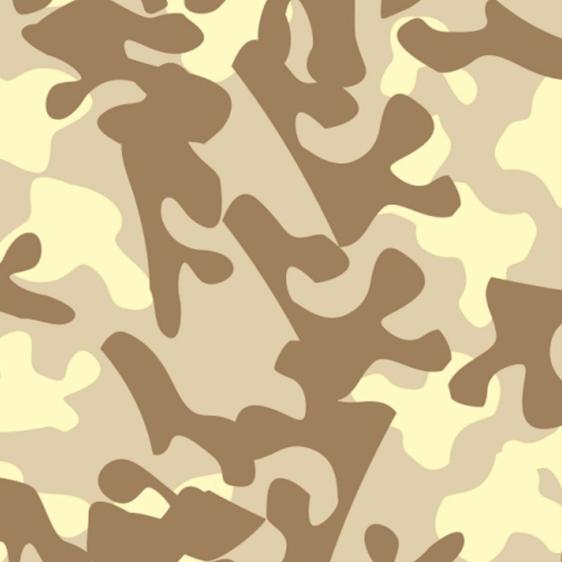 Motif camouflage